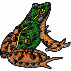 Frogs Embroidery Design 2